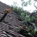 What To Do When Emergency Roof Repair In Round Rock Turns Into A Roof Replacement